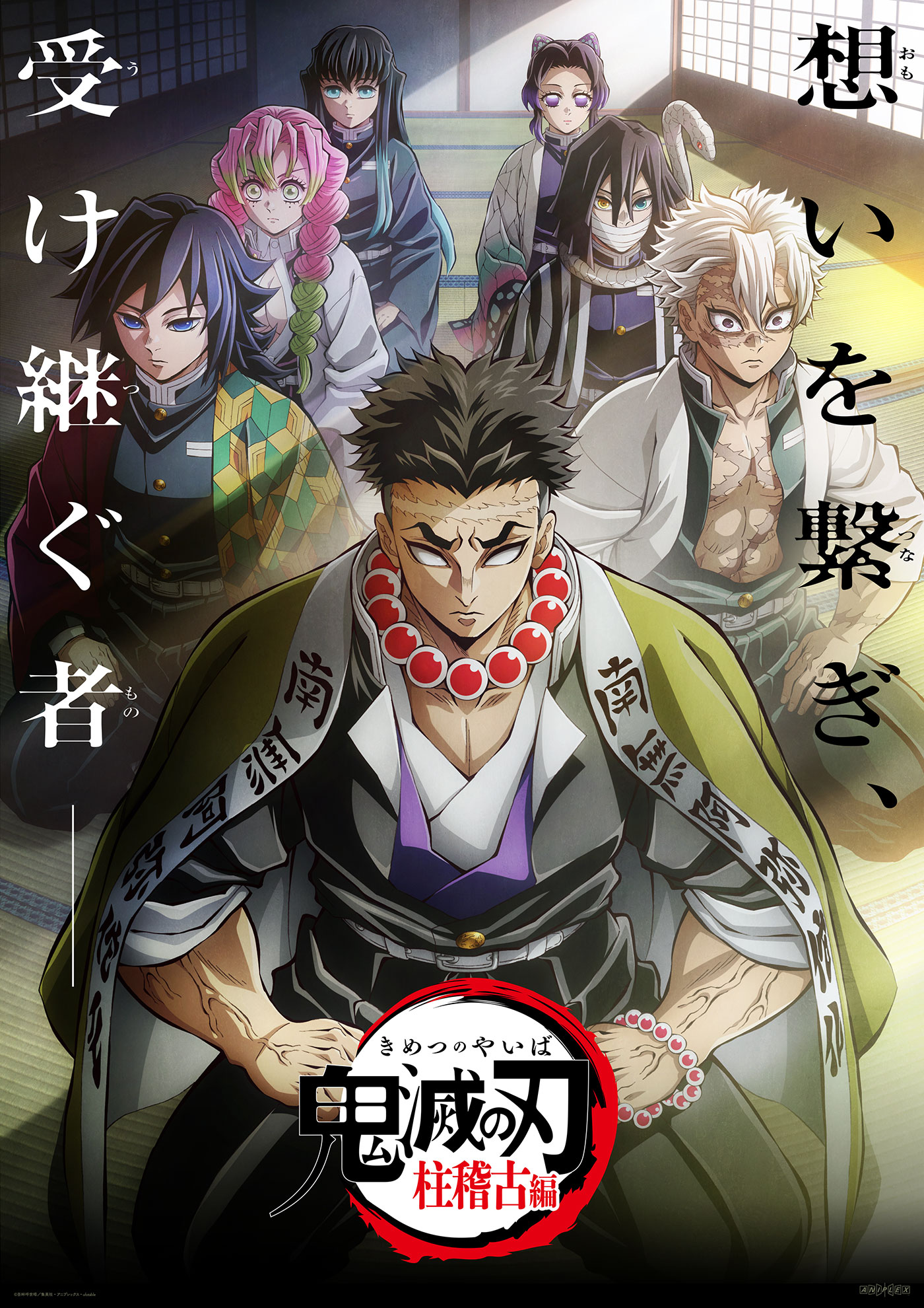 テレビアニメ「鬼滅の刃」柱稽古編全巻セット